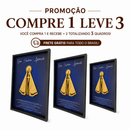 [COMPRE 1 LEVE 3] Quadro Premium Nossa Senhora Aparecida 3D com Moldura.